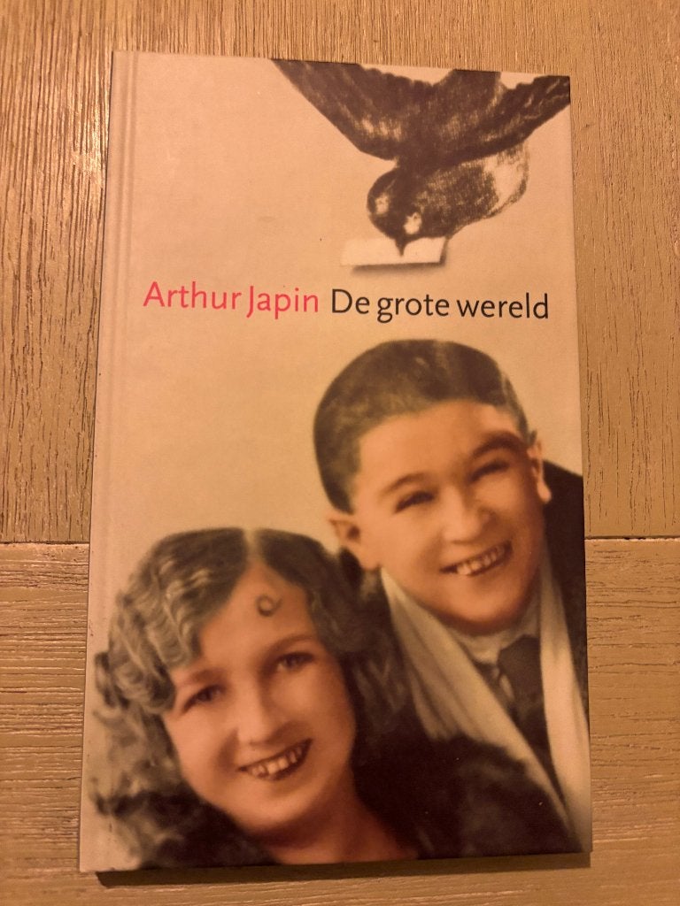 Arthur Japin De grote wereld, Ophalen of Verzenden, Zo goed als nieuw, Arthur Japin
