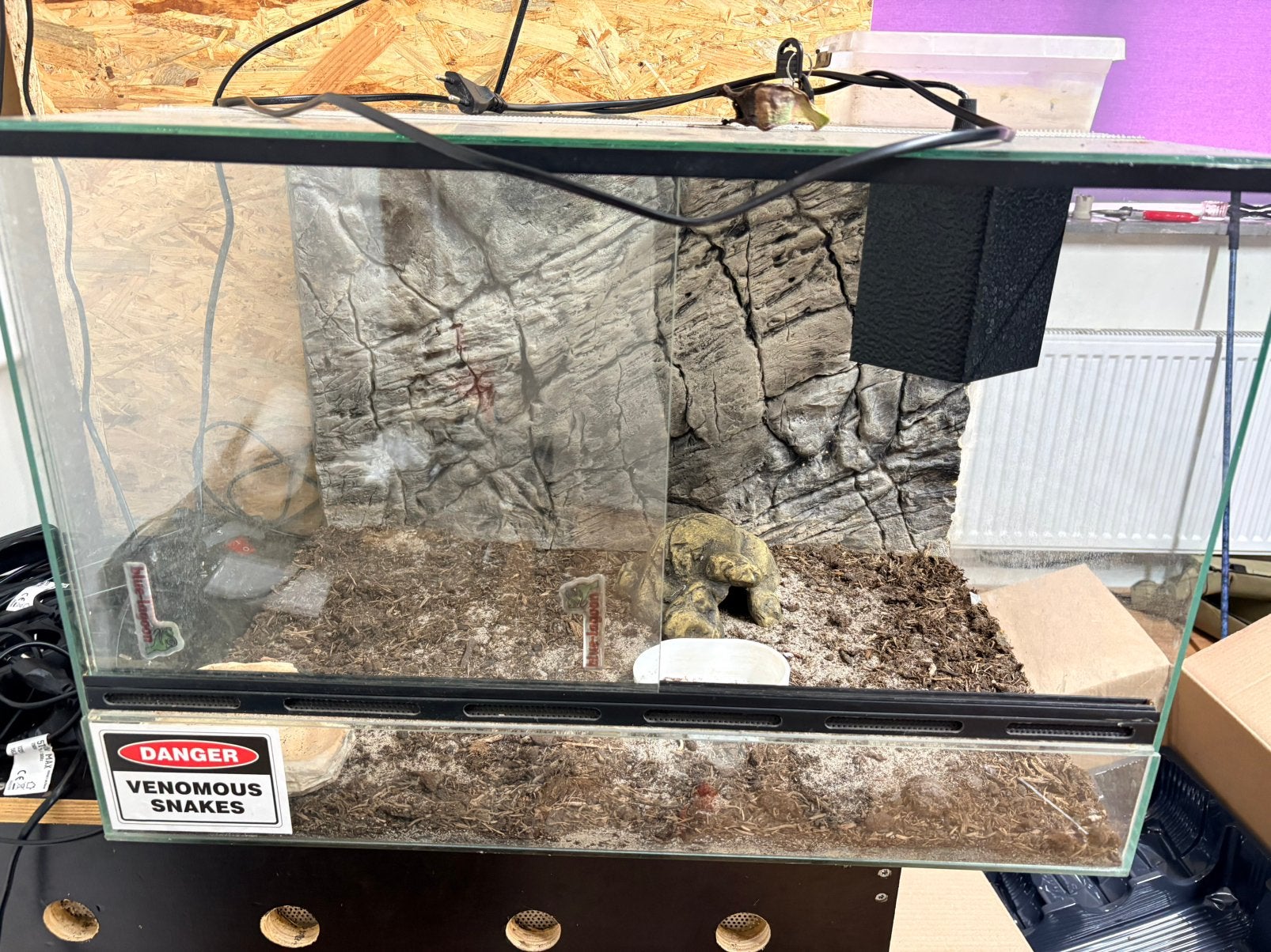 Terrarium glas 60x40x40 met achterwand., Dieren en Toebehoren, Ophalen, Gebruikt, Terrarium of Paludarium