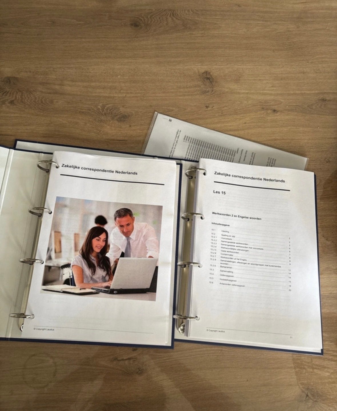 Zakelijke correspondentie Nederlands - Laudius Cursus, Ophalen of Verzenden, Gamma, Nieuw, MBO