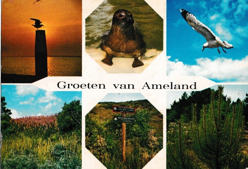 Ameland   20, Ophalen of Verzenden, Voor 1920, Waddeneilanden