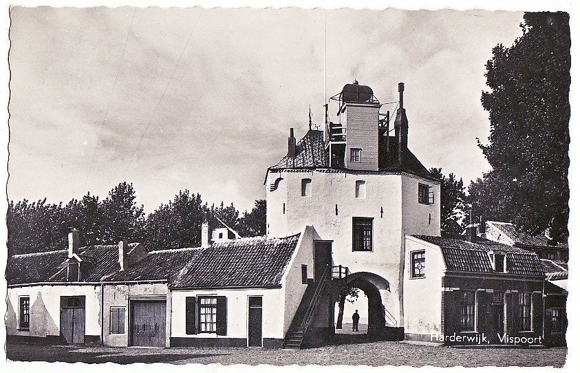 Harderwijk (Gld) vispoort 1959., Ophalen, 1940 tot 1960, Gelopen, Gelderland