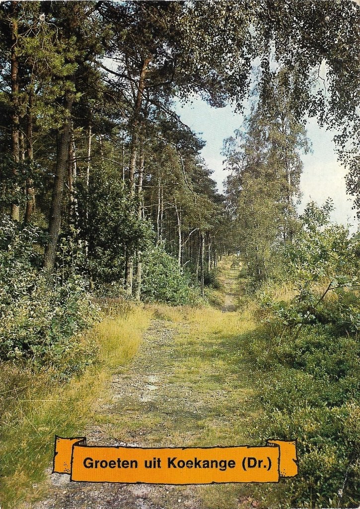 Ansichtkaart  	Koekange	Bosweg, Verzenden, 1960 tot 1980, Gelopen, Drenthe