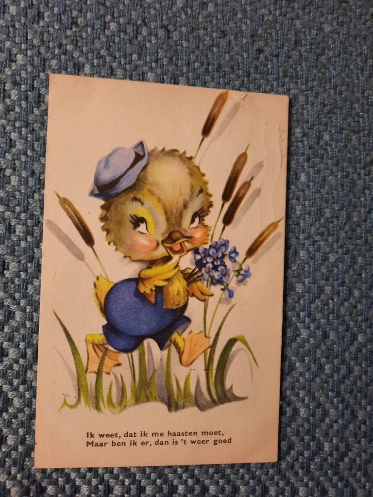 Vintage Ansichtkaart Eendje met Bloemen en Riet, Ophalen of Verzenden, 1940 tot 1960, Gelopen, Zuid-Holland