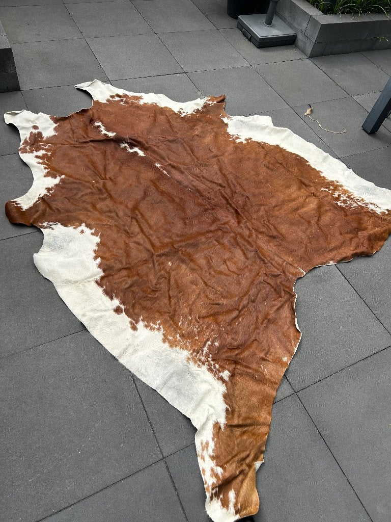 Koeien kleed, Ophalen, Koe, Gebruikt, 150 tot 200 cm