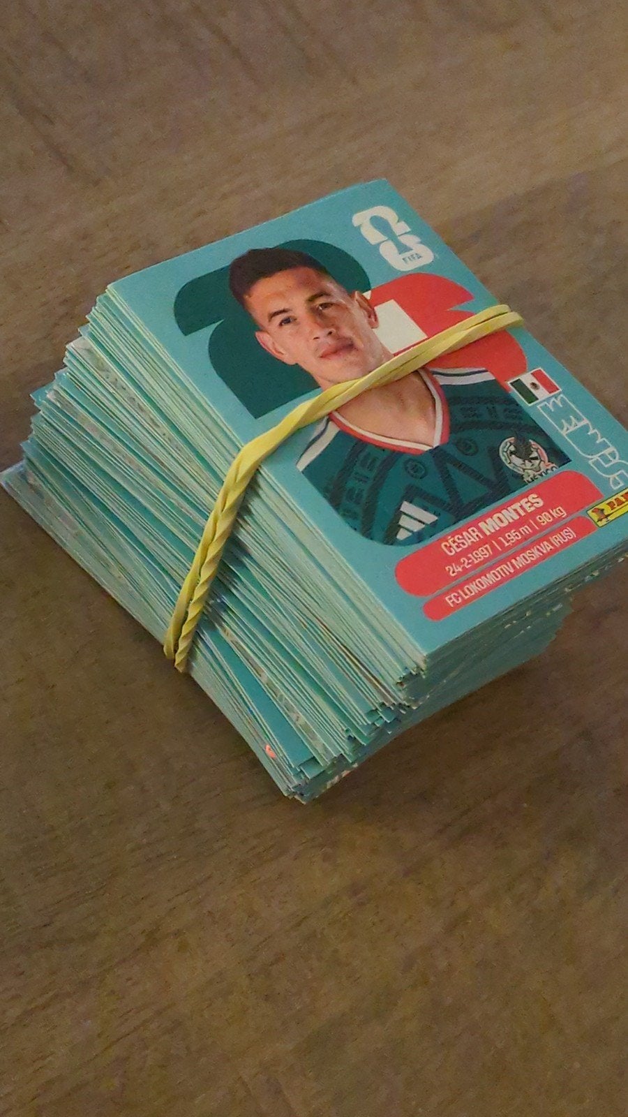 Panini World Cup stickers 2026, Tickets en Kaartjes, Overige soorten
