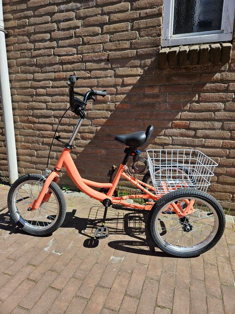 Driewiel fiets voor kinderen van 4-8 jaar., Ophalen