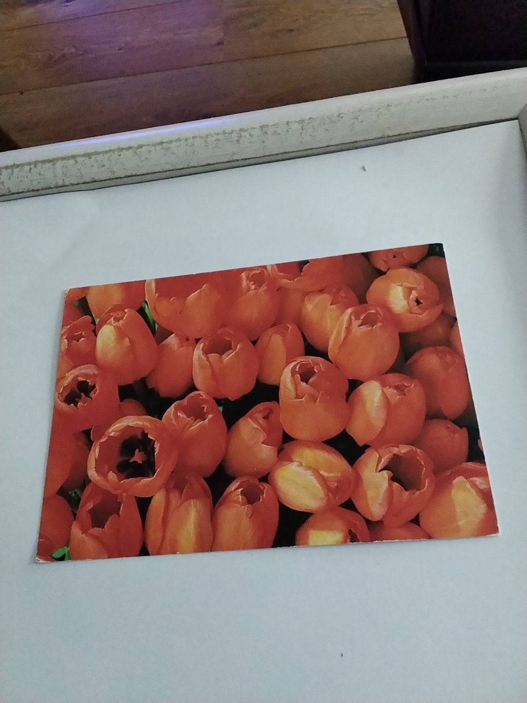 Vintage Ansichtkaart Tulpen - Paul Huf 1984 Flowerpower, Ophalen of Verzenden, 1980 tot heden, Gelopen