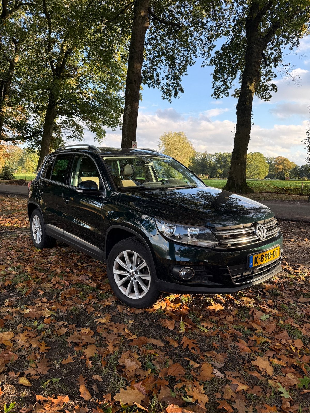 Volkswagen Tiguan 1.4 TSI 90KW BMT 2011 Groen, Voorwielaandrijving, Euro 5, Zwart, 4 cilinders