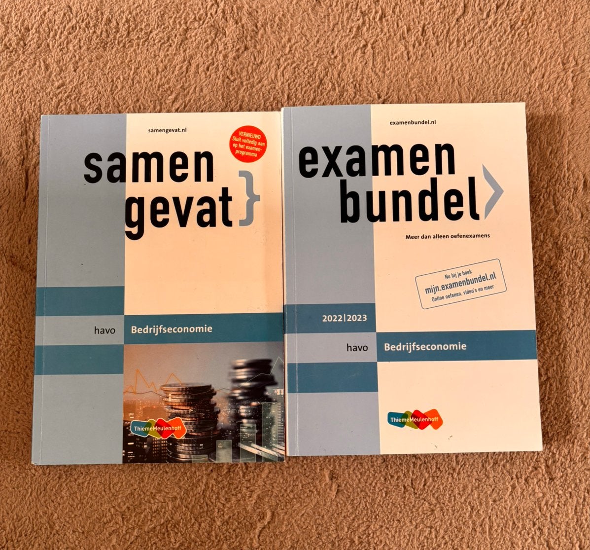 Samengevat en examenbundel havo bedrijfseconomie, Boeken, Schoolboeken, Verzenden, Zo goed als nieuw, HAVO, Bedrijfseconomie of M&O