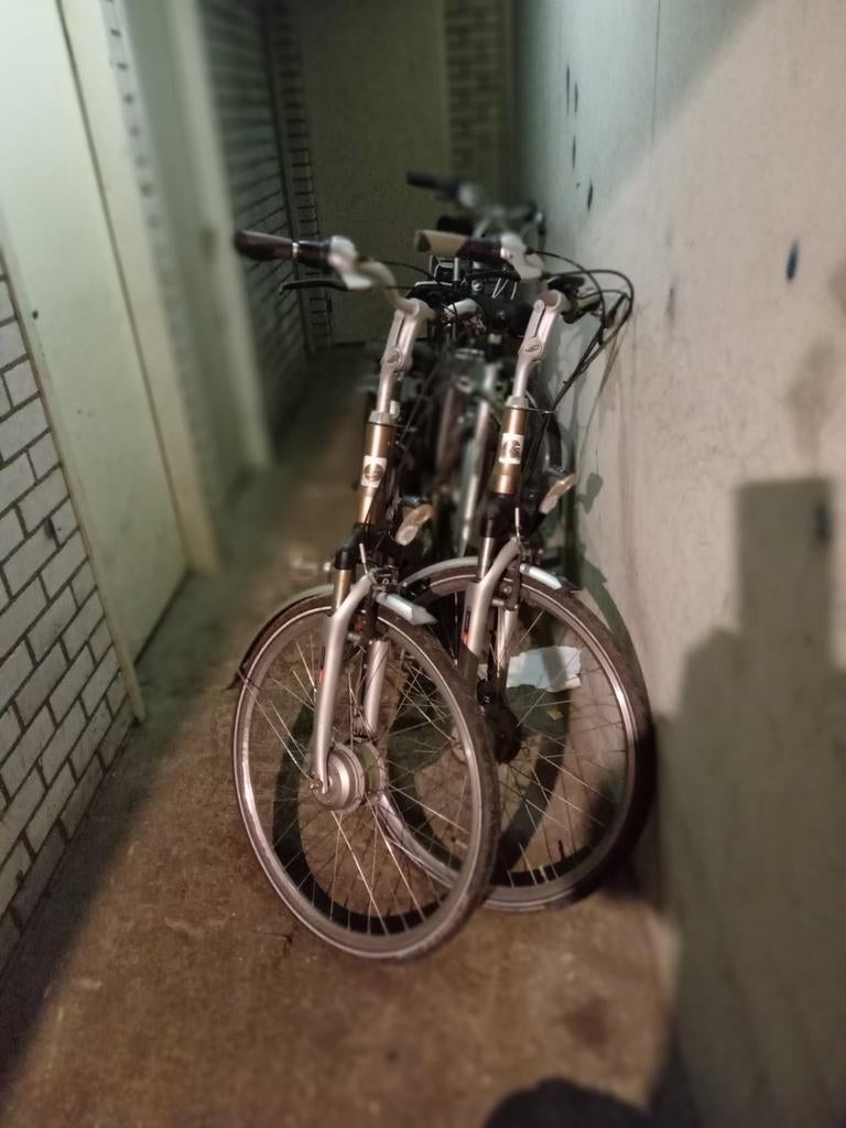 Giant elektrische fietsen, Ophalen of Verzenden