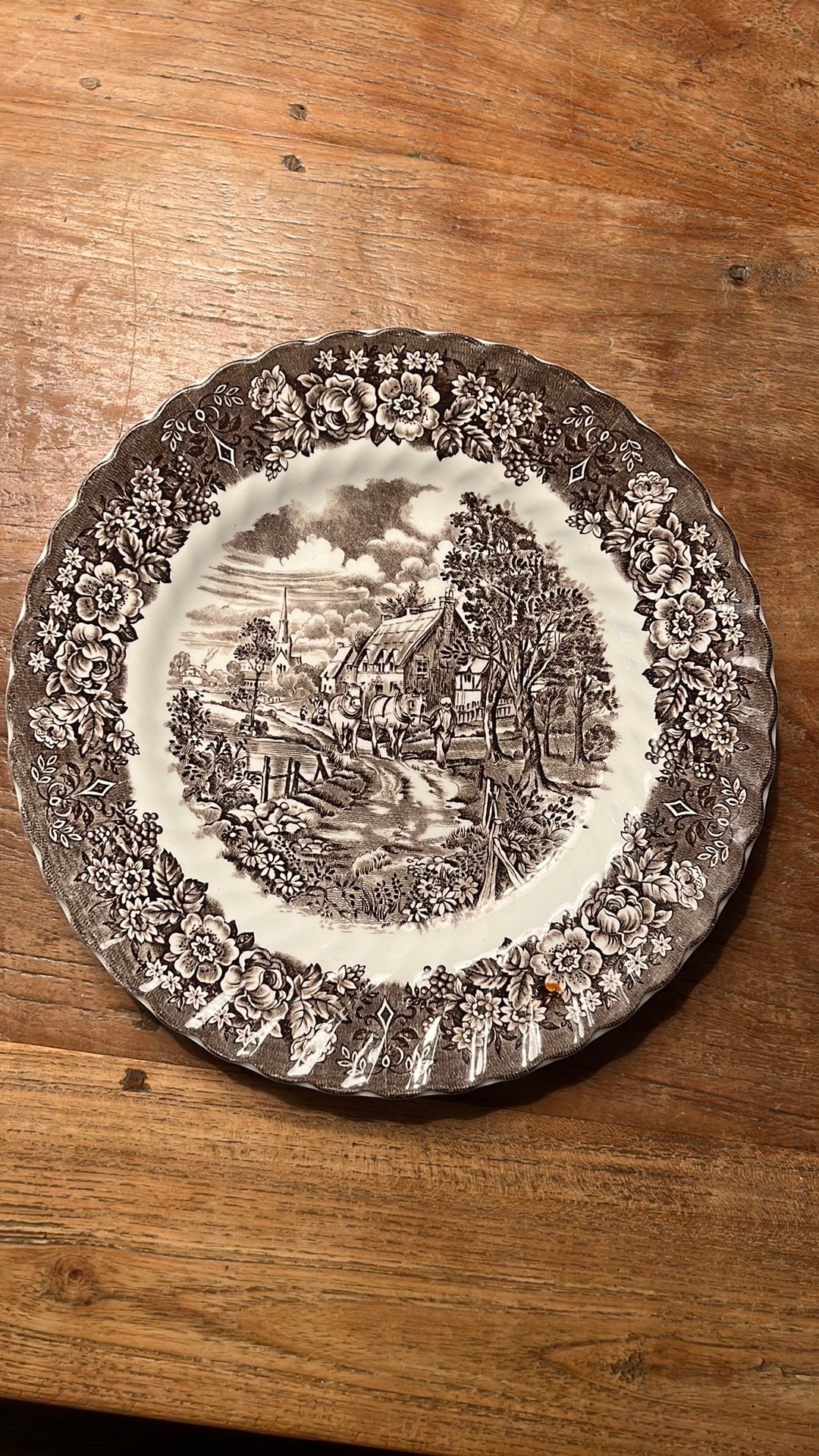 Dinerbord bruin British Anchor, Overige merken, Klassiek, Ophalen of Verzenden, Zo goed als nieuw