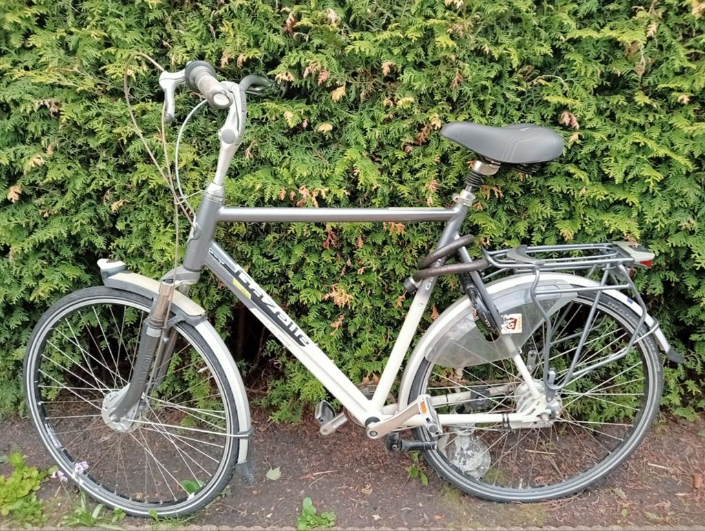 Gazelle, Ophalen, Gebruikt, Minder dan 10 versnellingen, Gazelle
