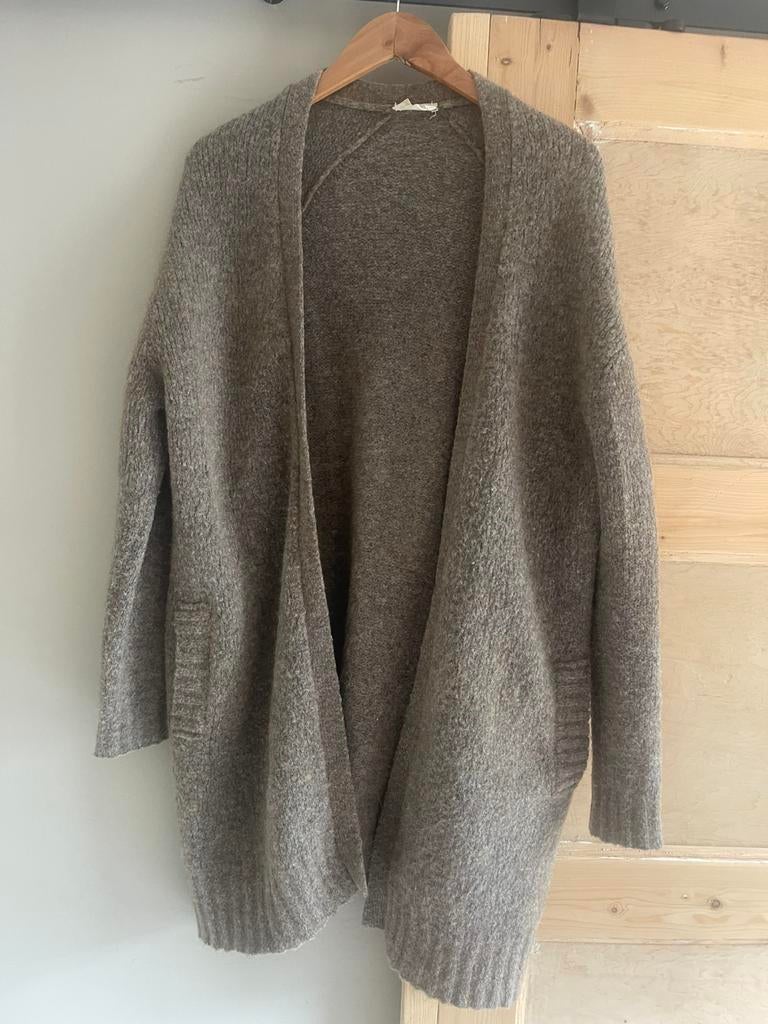 American Vintage vest, Ophalen of Verzenden, Zo goed als nieuw, Bruin