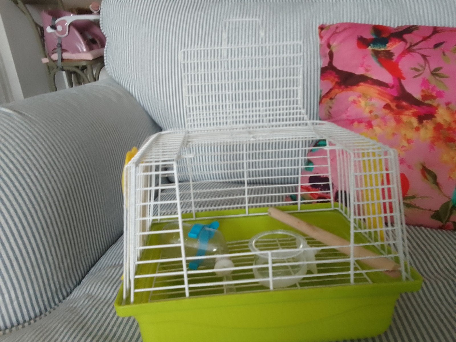 Vervoerkooitje voor kleine vogel, Ophalen, Nieuw, Kunststof, Vogelkooi