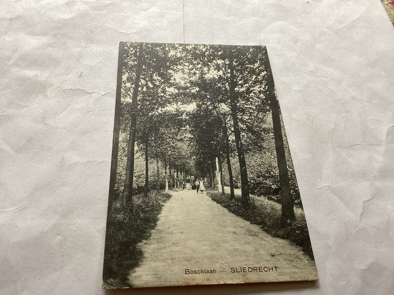 Sliedrecht Boschlaan Sliedrecht Gelopen 1909, Verzamelen, Ophalen of Verzenden, Voor 1920, Gelopen, Zuid-Holland