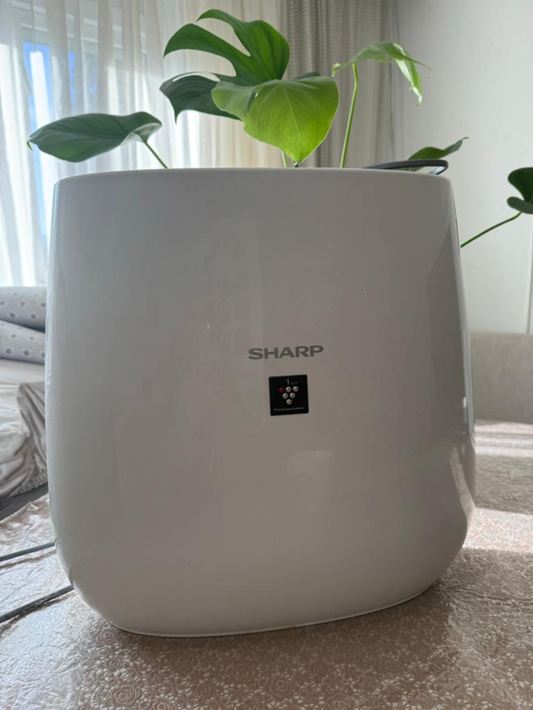 Sharp Luchtreiniger FP-J30EU-B - Zo goed als nieuw, Ophalen, Zo goed als nieuw, Luchtreiniger