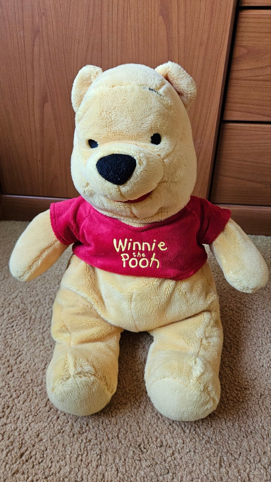 Disney Winnie the Pooh knuffel, Ophalen of Verzenden, Overige typen