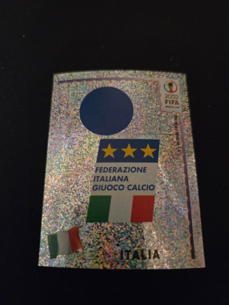 Panini Fifa world cup 2002, Ophalen of Verzenden, Zo goed als nieuw, Buitenlandse clubs, Poster, Plaatje of Sticker