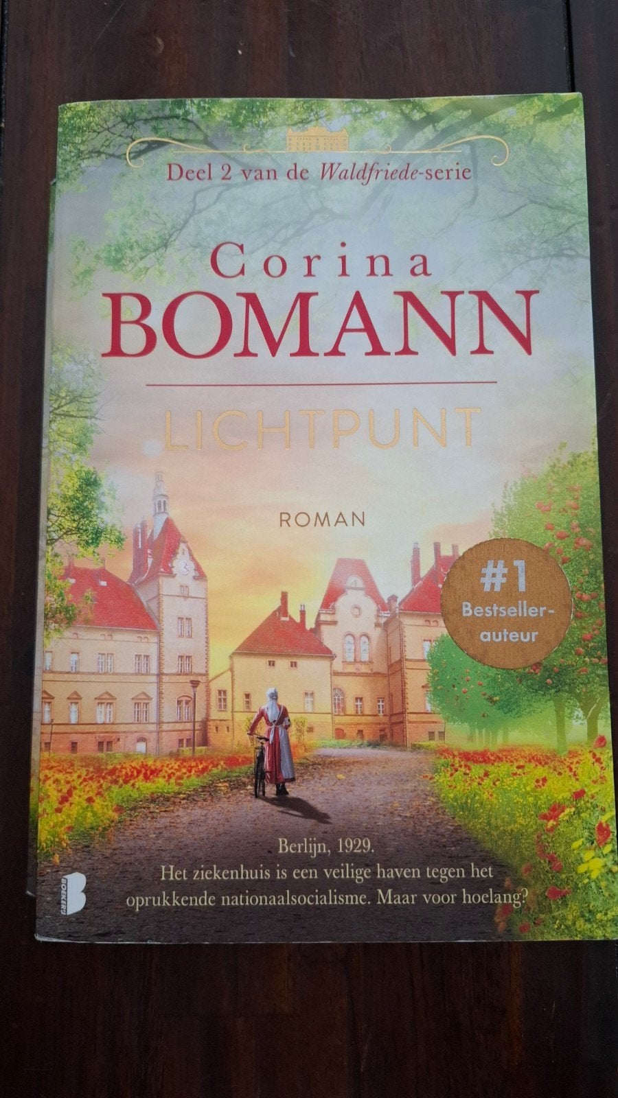 Corina Bomann - Lichtpunt, deel 2, Boeken, Ophalen of Verzenden, Zo goed als nieuw, Corina Bomann