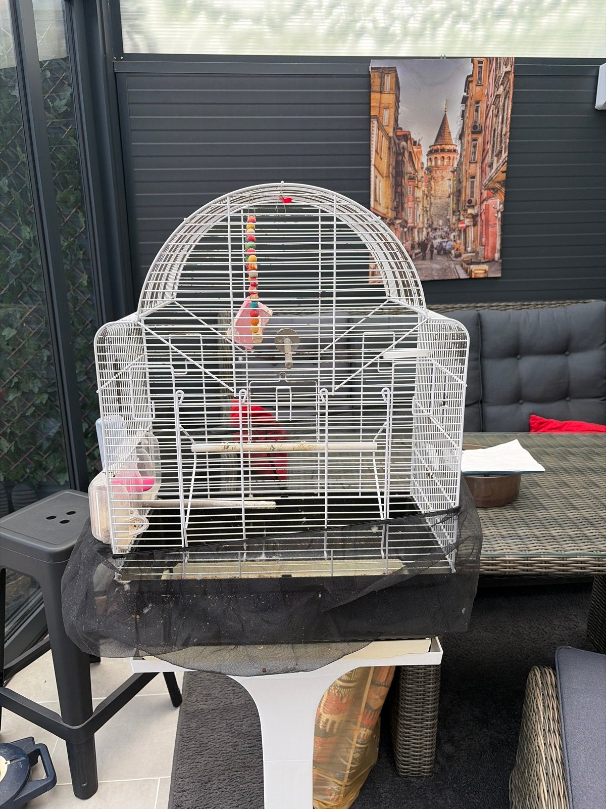Vogel kooi, Verzenden, Zo goed als nieuw, Metaal, Vogelkooi