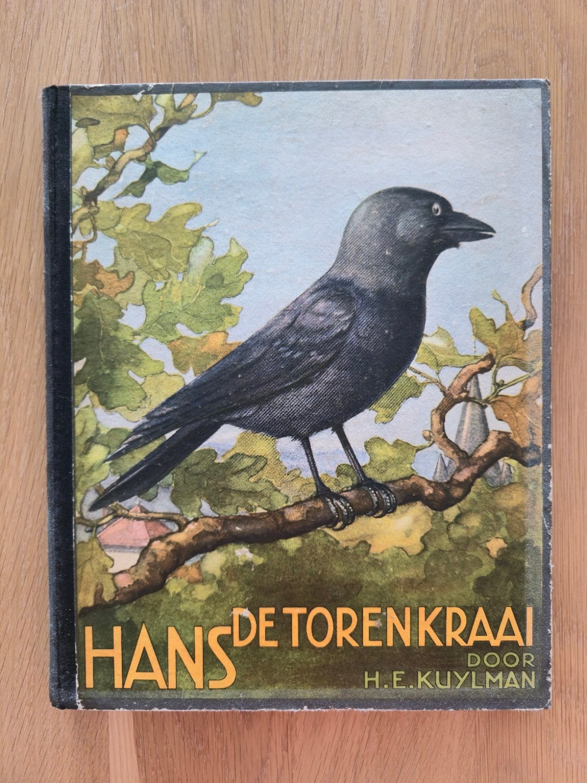 Hans de Torenkraai - Vogelboek met Plaatjes, Boeken, Ophalen of Verzenden, Gelezen, Vogels, H.E. Kuylman
