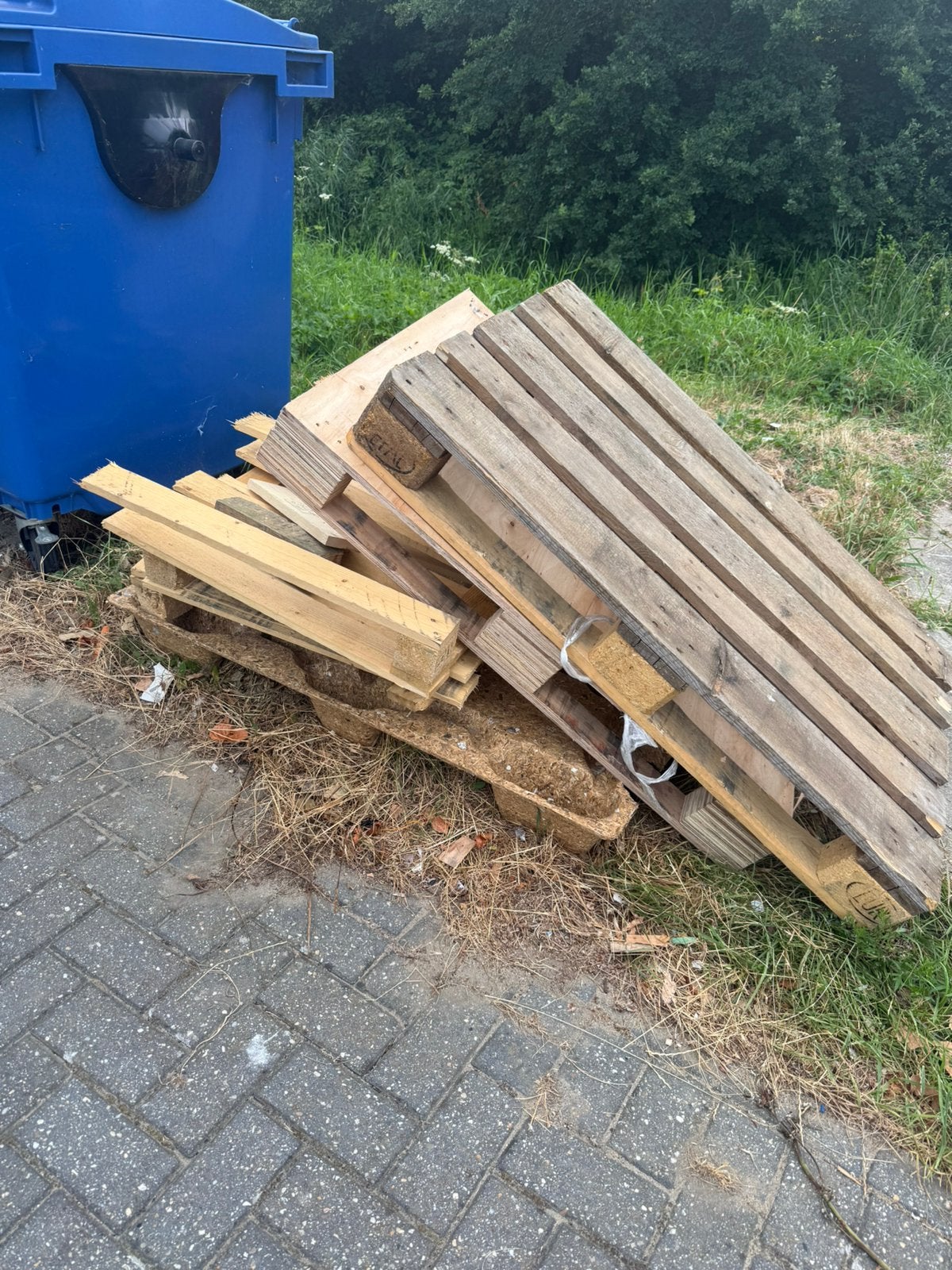 Gratis af te halen Hout, Ophalen, Zo goed als nieuw, Pallet, Minder dan 200 cm