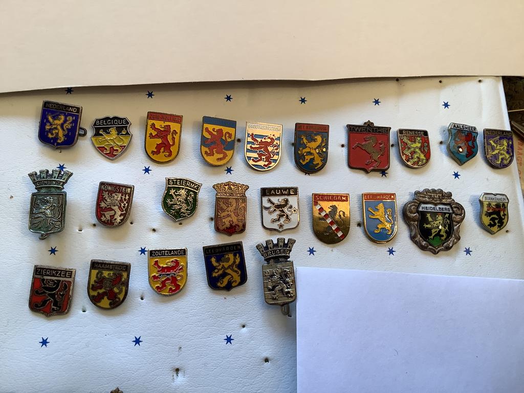 Speldje (gemeentewapens) met 1 leeuw kijkend naar links, Verzamelen, Speldjes, Pins en Buttons, Ophalen of Verzenden, Zo goed als nieuw