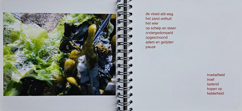 Foto 2 van gedichten foto's inspiratie overdenking ansichtkaarten