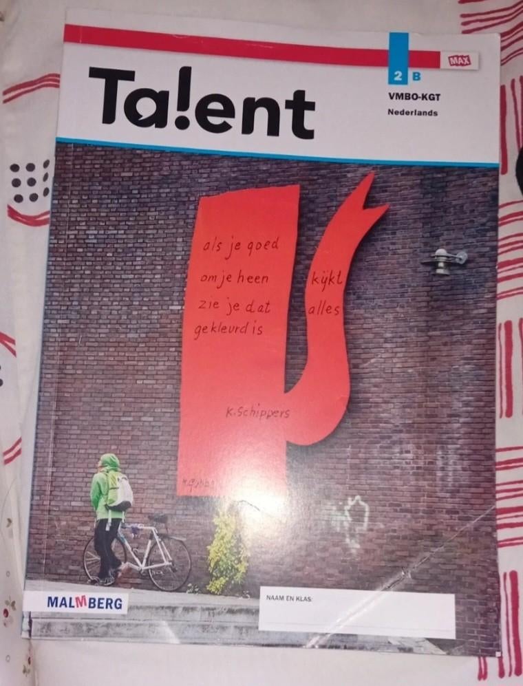 Ta!ent Nederlands VMBO-KGT Boek, VMBO, Saarein te Brake, John Chantrel, Karin Janssen, e.a., Ophalen of Verzenden, Zo goed als nieuw