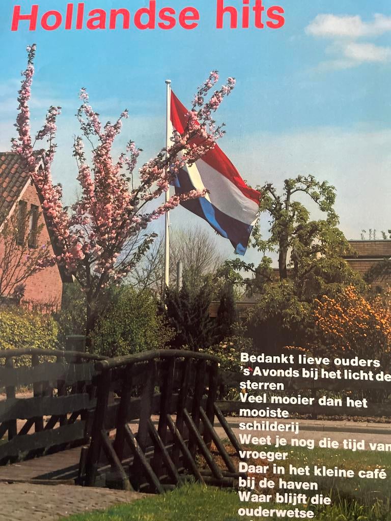Oud Hollandse Hits - Nette Staat!, Muziek en Instrumenten, Bladmuziek, Ophalen of Verzenden, Zo goed als nieuw, Thema, Piano