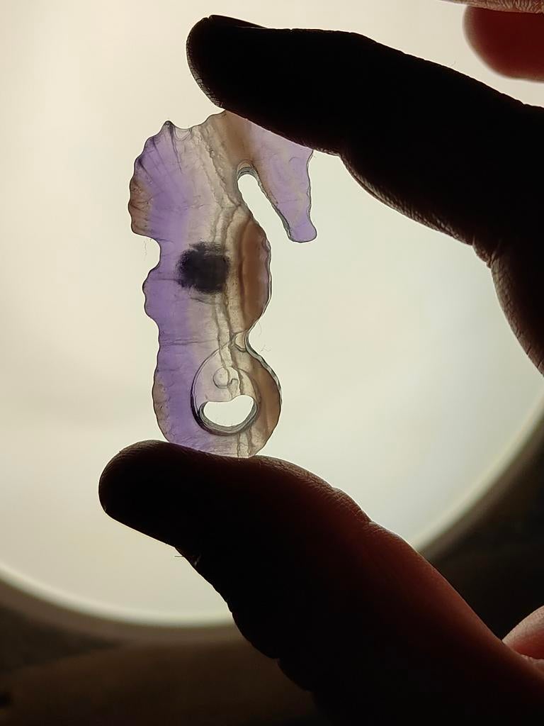 Fluoriet zeepaard, Verzamelen, Mineralen en Fossielen, Ophalen of Verzenden