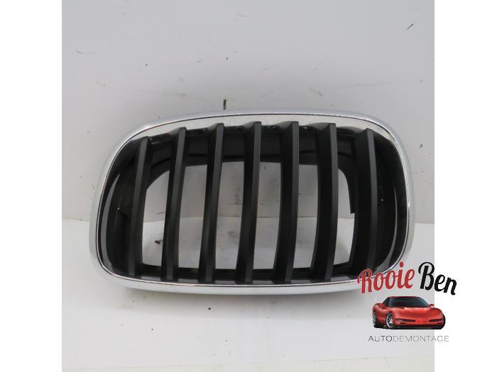 Grille van een BMW X5, Gebruikt, -, -, Ophalen of Verzenden