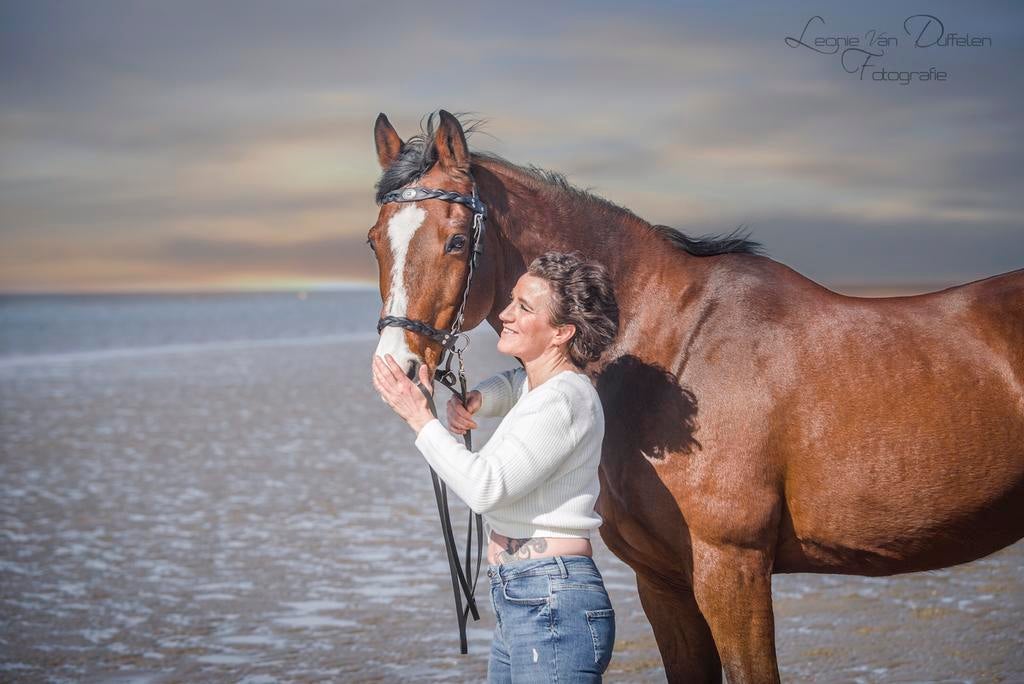 Ervaren paarden/katten/kippen/knaagdieren oppas Rockanje eo, Diensten en Vakmensen, Dieren | Katten | Verzorging, Oppas en Les
