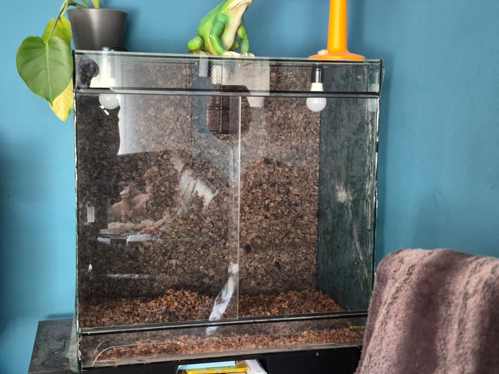 Te Koop: Terrarium 80x75x50, Ophalen, Gebruikt