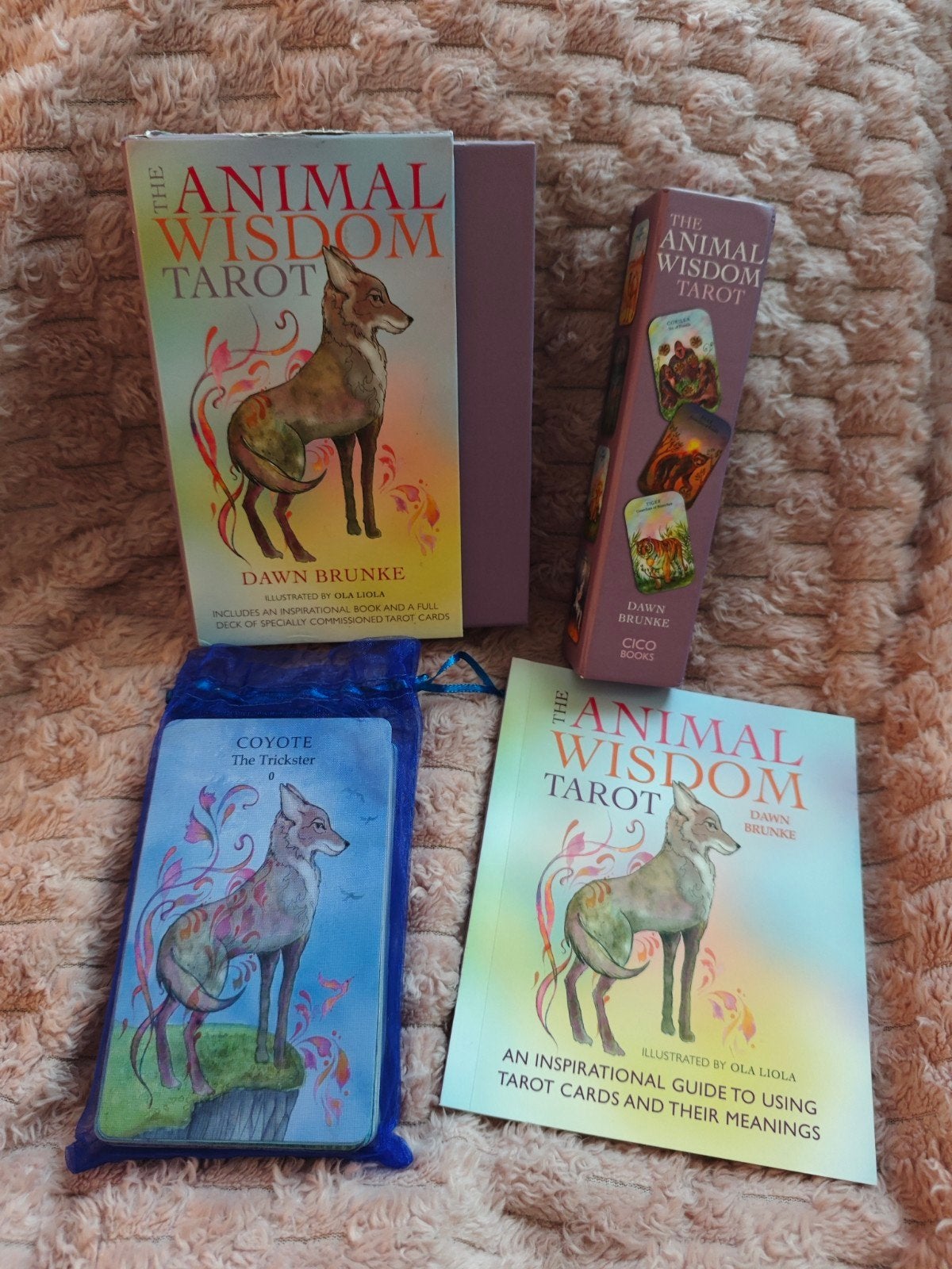 The Animal Wisdom Tarot - Dawn Brunke (Zo goed als nieuw), Boeken, Ophalen of Verzenden, Zo goed als nieuw, Tarot of Kaarten leggen