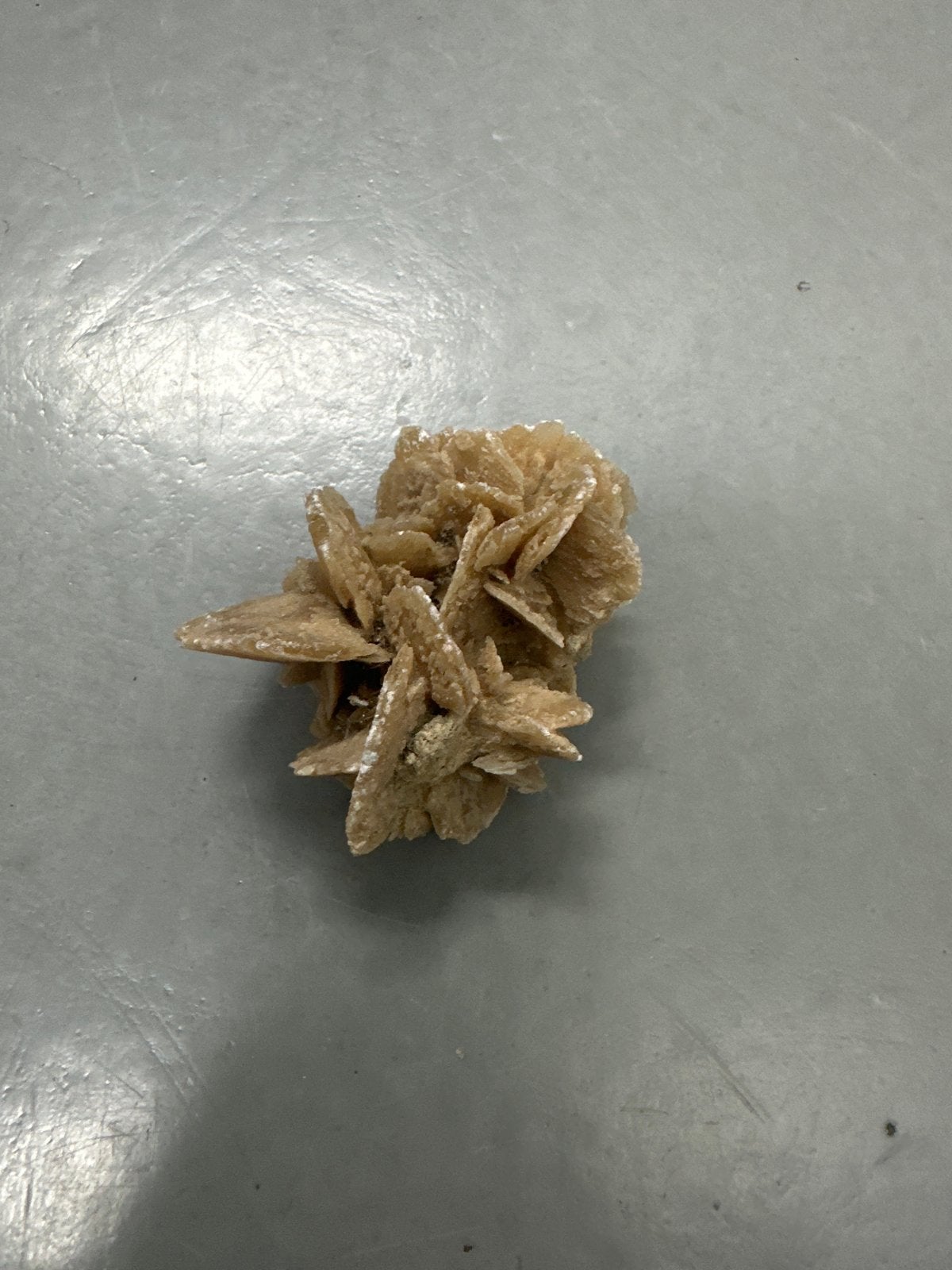 Woestijnroos - Uniek Mineraal Exemplaar, Ophalen of Verzenden, Mineraal