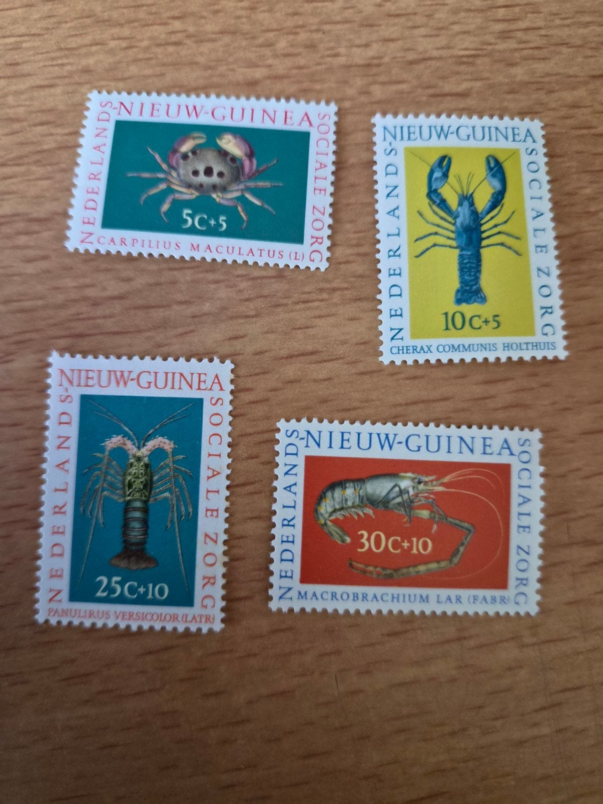 Nieuw Guinea, Ophalen of Verzenden