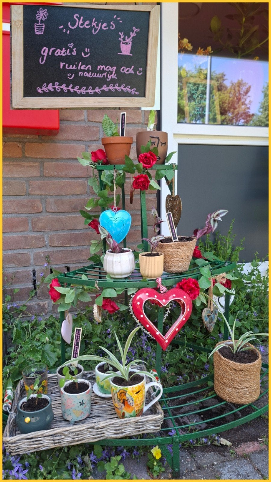 Gratis stekjes, Ophalen, Halfschaduw, Minder dan 100 cm