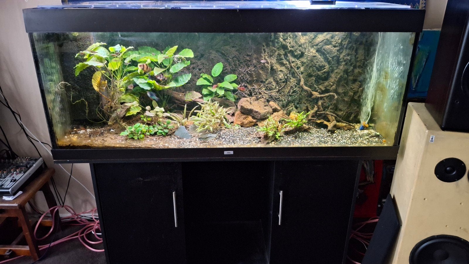 aquarium juwel 150cm moet weg!, Dieren en Toebehoren, Vissen | Aquaria en Toebehoren, Ophalen, Gevuld zoetwateraquarium