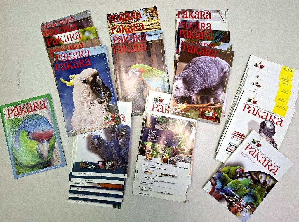 Partij van het officiële bondsblad Pakara Magazine, Geslacht onbekend, Papegaai