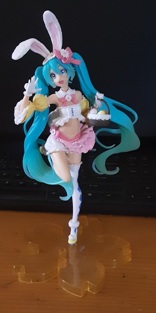 Hatsune Miku Bunny Girl ( Anime), Ophalen