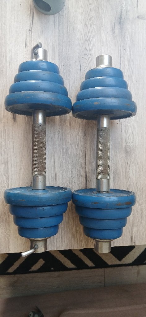 Dumbbells Set 2x 12kg, Ophalen, Gebruikt, Benen, Dumbbell