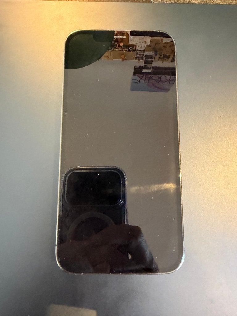 Foto 2 van iPhone 12 Pro 256GB (+ hoes)