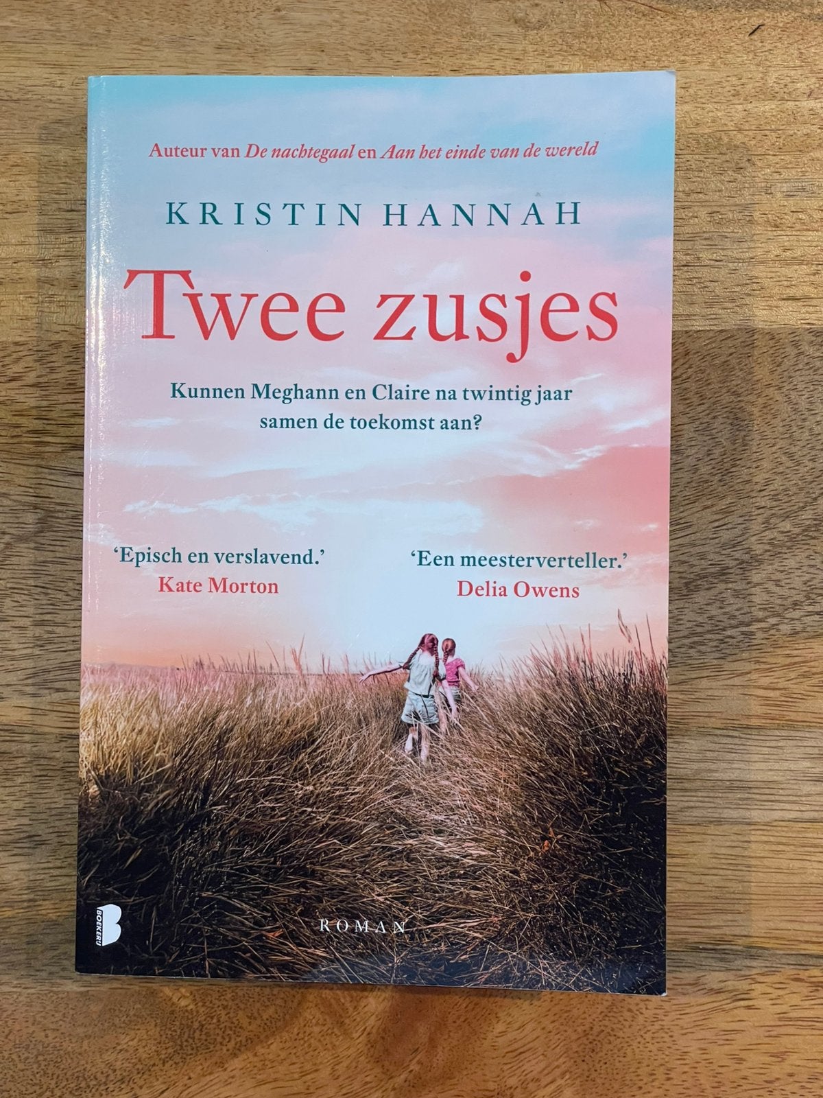 Twee zusjes - Kristin Hannah (Roman), Boeken, Romans, Ophalen of Verzenden, Zo goed als nieuw, Nederland