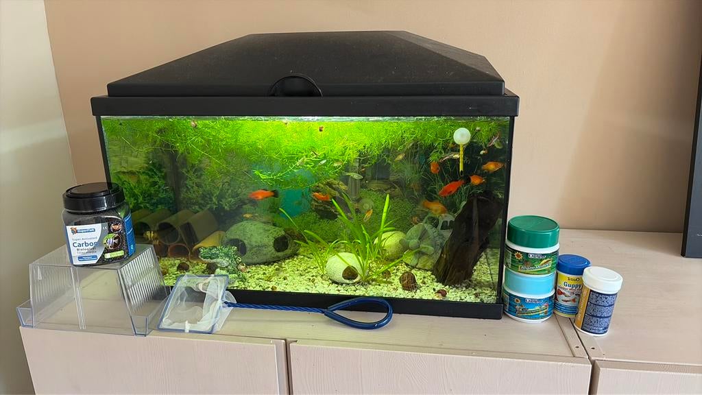 Mooi aqaruim incl vissen en slakken, Ophalen of Verzenden, Verwarming, Zo goed als nieuw, Gevuld zoetwateraquarium
