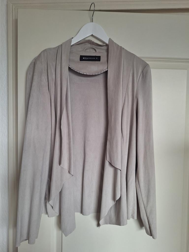 Expresso suède look vestje maat 42, Kleding | Dames, Expresso, Beige, Maat 42/44 (L), Ophalen of Verzenden