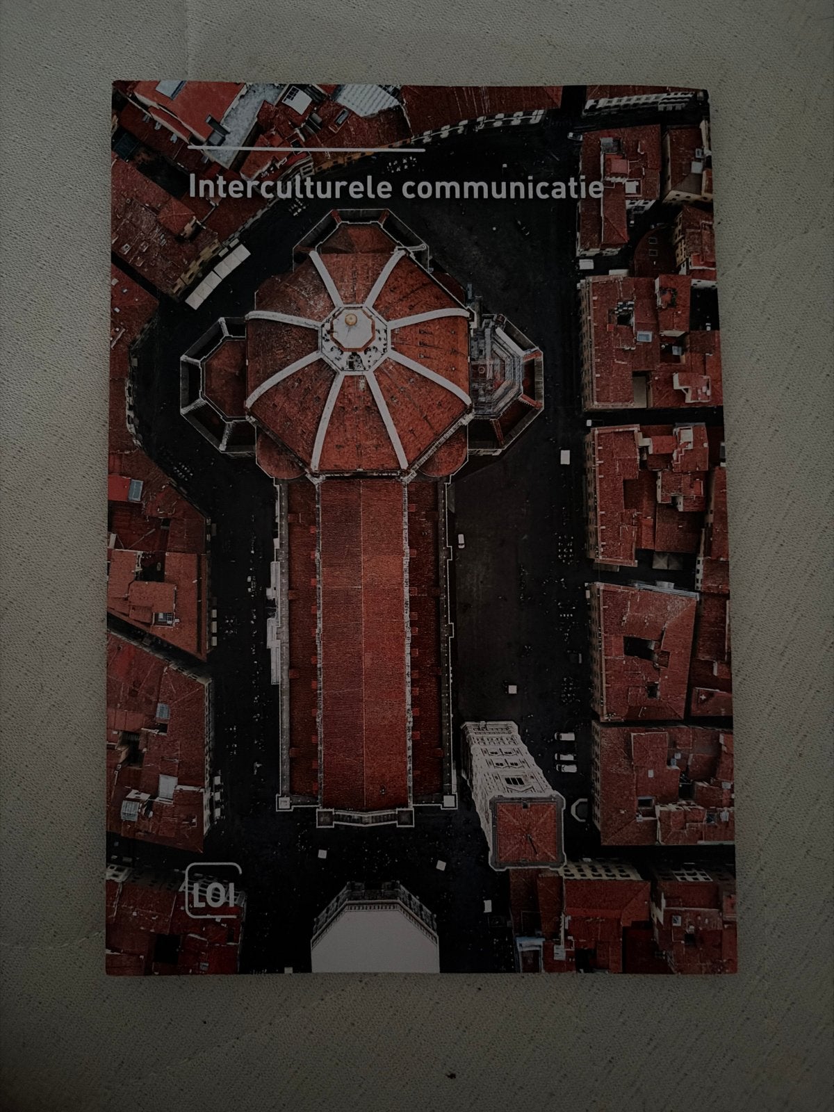 Interculturele communicatie LOI studieboek, Boeken, Verzenden, Gamma, Zo goed als nieuw, HBO