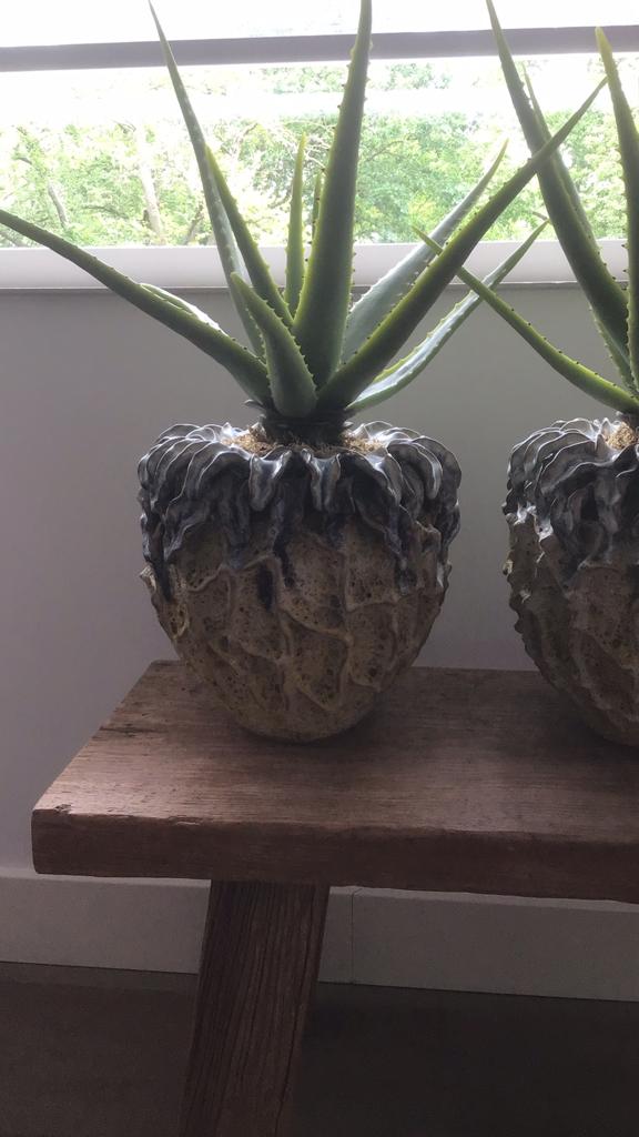 Vaas Des Pots, Rond, Ophalen of Verzenden, Zo goed als nieuw, Aardewerk