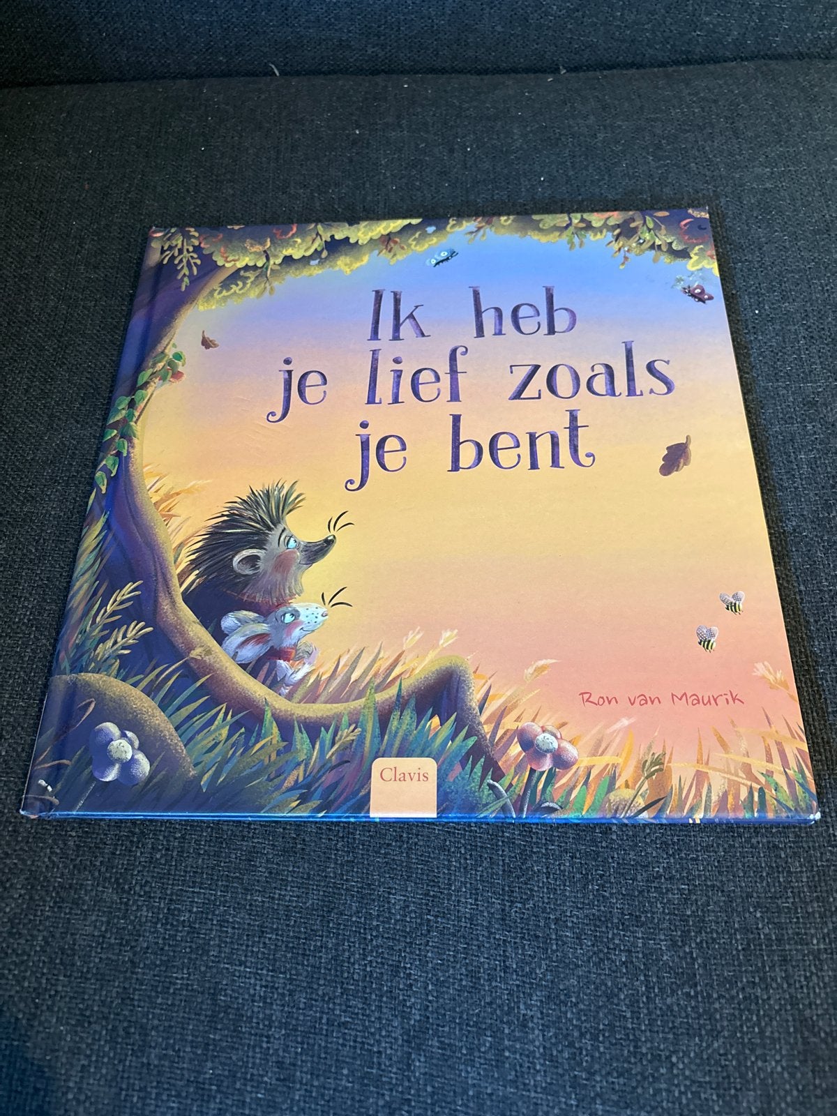 Ik heb je lief zoals je bent - Ron van Maurik, Boeken, Fictie algemeen, Jongen of Meisje, Zo goed als nieuw, 4 jaar