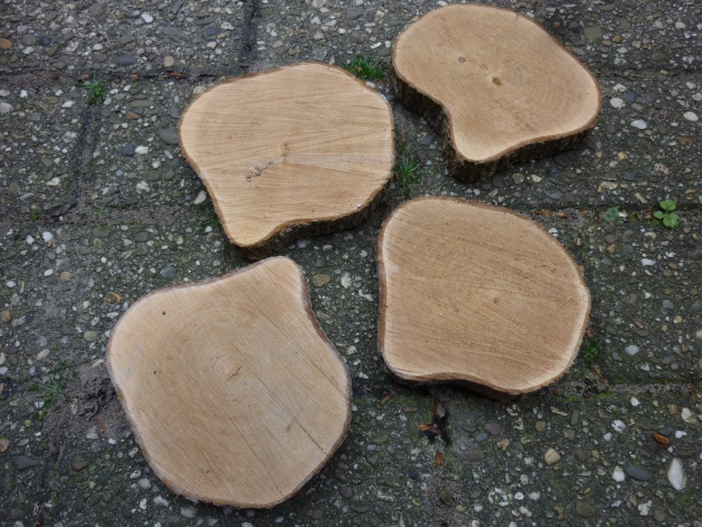 Aantal houten schijven ong. 13 cm en 2 ong. 20 cm, Doe-het-zelf en Verbouw, Hout en Planken, Minder dan 25 mm, Eiken, Nieuw, Ophalen of Verzenden